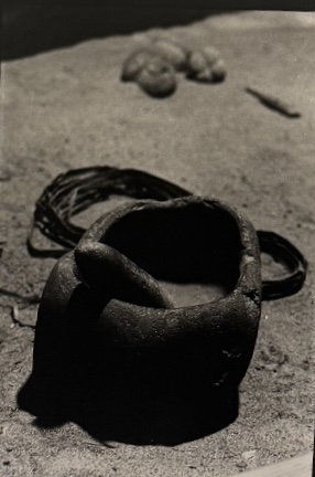 Photography 19