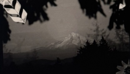 Photography 20